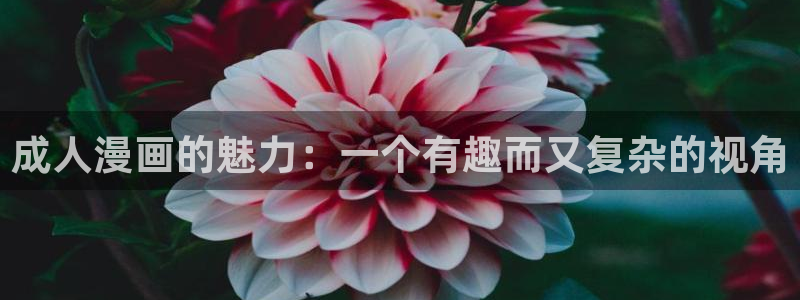 汗汗漫画av：成人漫画的魅力：一个有趣而又复杂的视角